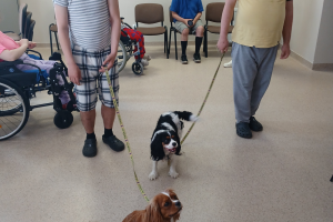 dwóch mężczyzn z psami na smyczach