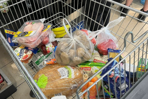 zakupy w wózku sklepowym