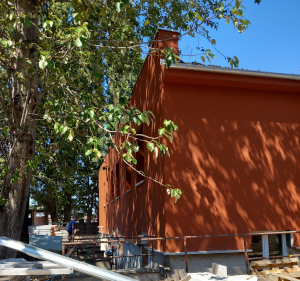 budynek na tle drzewa