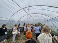 grupa ludzi w szklarni