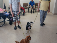 dwóch mężczyzn z psami na smyczach