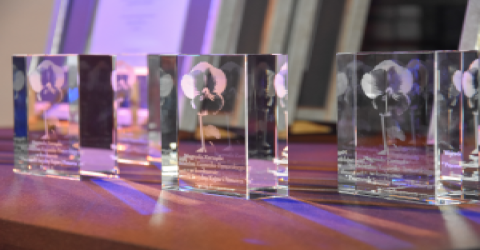 Zaproszenie do udziału w konkursie dla pracowników socjalnych z województwa kujawsko-pomorskiego